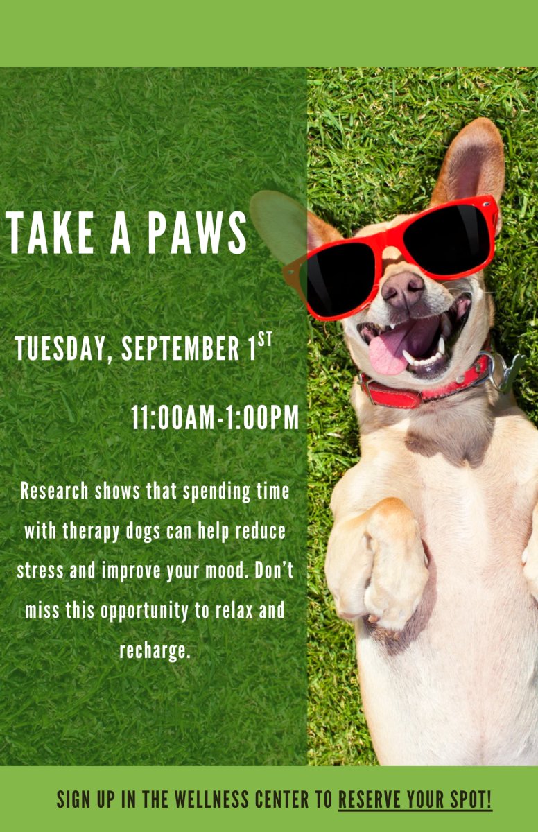 Take A Paws
